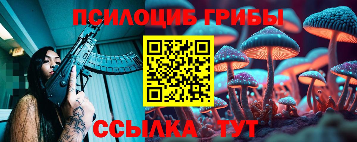 купить наркоту  Вход с VPN  Чусовой  Галлюциногенные грибы Cubensis 